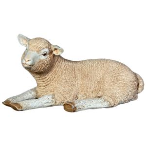 Life Size Merino Lamb Sculpture - 61cm