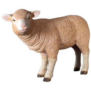 Life Size Standing Merino Lamb 62cm
