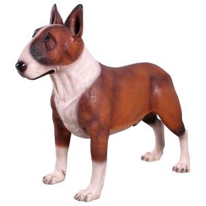 Bull Terrier Brown