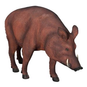 Wild Boar - 119cm - Brown Finish
