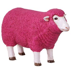 Merino Ewe Head Up - Small - 54cm  Pink Finish 