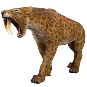 Smilodon - Saber-Toothed Tiger/Cat - 175cm